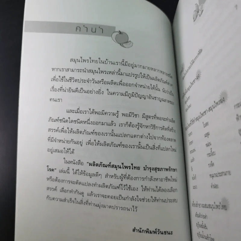 ผลิตภัณฑ์สมุนไพรไทย บำรุงสุขภาพ รักษาโรค - รมย์รวินท์ รูปที่ 9