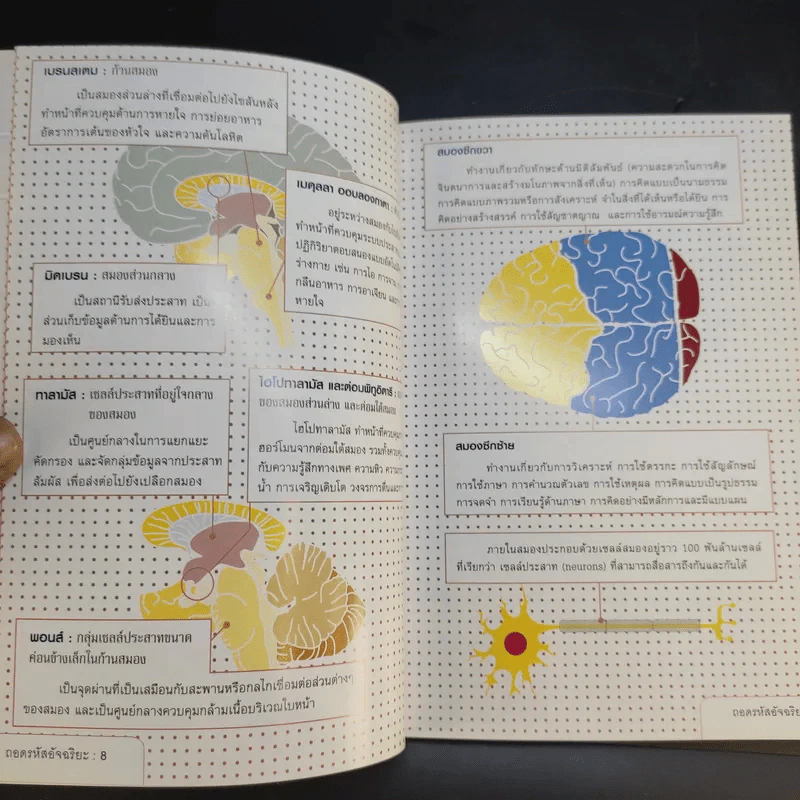 ถอดรหัสอัจฉริยะ Mind Games - Michael Powell รูปที่ 12