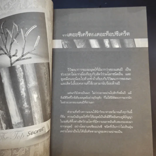 The Top Secret เดอะท็อปซีเคร็ต - ทันตแพทย์สม สุจีรา รูปที่ 12