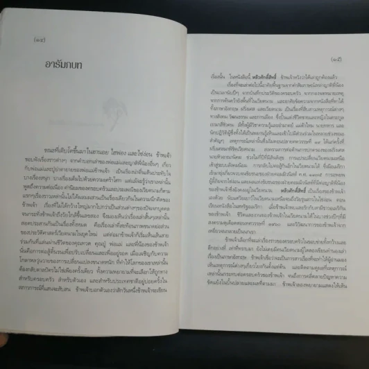 หลิวศักดิ์สิทธิ์ : คนสี่รุ่นในชีวิตของคนเวียดนามครอบครัวหนึ่ง - เยือง เวิน มาย เอลเลียต รูปที่ 14