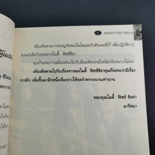 ไมตี้ฟิซซ์ชิลล่า รูปที่ 12