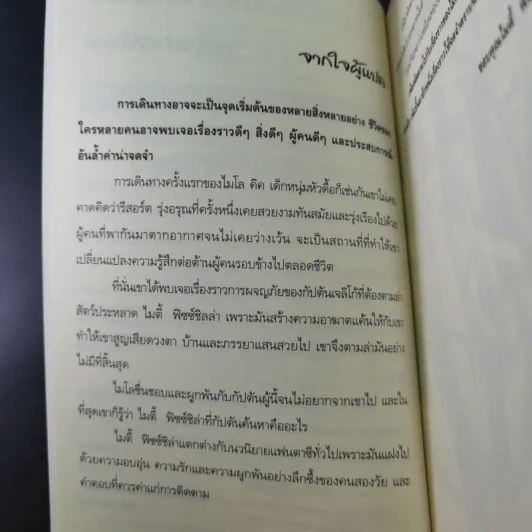 ไมตี้ฟิซซ์ชิลล่า รูปที่ 11