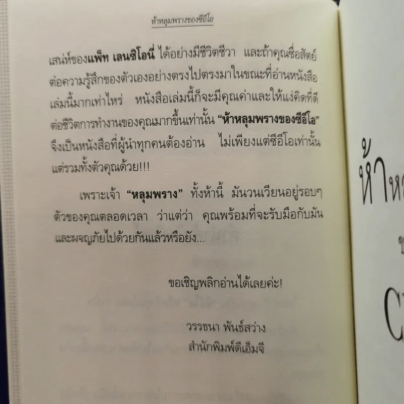 ห้าหลุมพรางของ CEO - แพทริก เลนซีโอนี่ รูปที่ 13