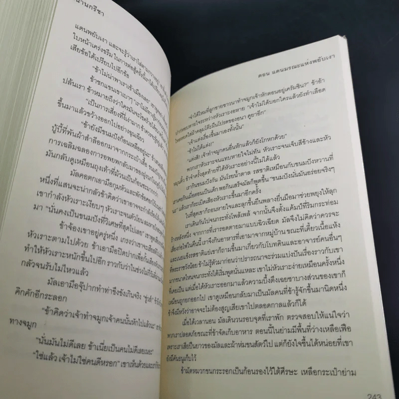 ตำนานกรีชา ตอน แดนมรณะแห่งพยับเงา - ลีห์ บาร์ดูโก รูปที่ 14