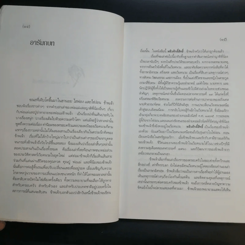 หลิวศักดิ์สิทธิ์ : คนสี่รุ่นในชีวิตของคนเวียดนามครอบครัวหนึ่ง - เยือง เวิน มาย เอลเลียต รูปที่ 14
