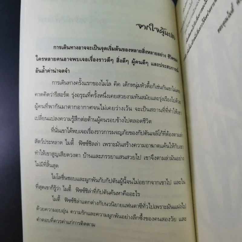 ไมตี้ฟิซซ์ชิลล่า รูปที่ 11