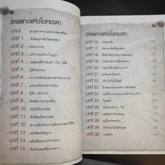 เหนือกว่าโชคชะตาคือตัวคุณ - ภูเบศร์ ล้ำคุณากร รูปที่ 11