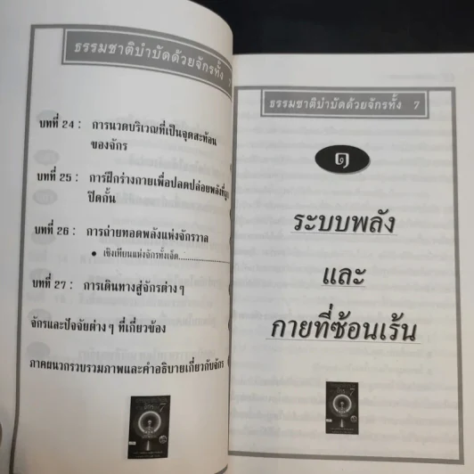 ธรรมชาติบำบัดด้วยจักรทั้ง 7 - อ.อำพัน จรัสแสง แปล รูปที่ 15