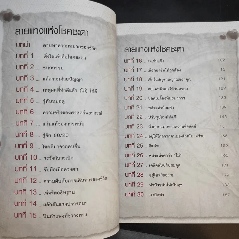 เหนือกว่าโชคชะตาคือตัวคุณ - ภูเบศร์ ล้ำคุณากร รูปที่ 11