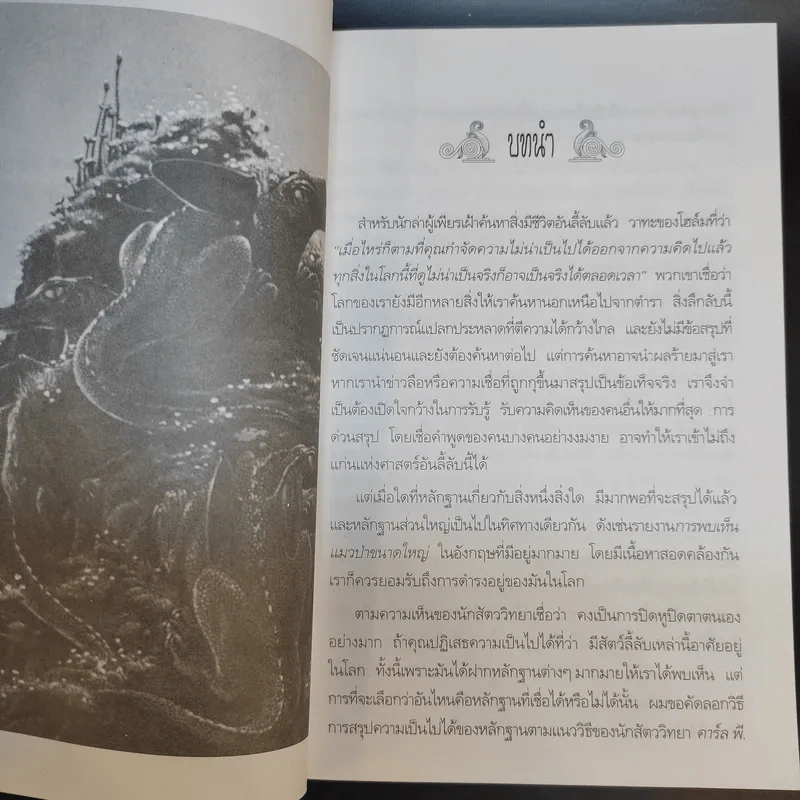 ตำนานเรื่องตัวประหลาด - บัวแก้ว ไชยหลวงผา รูปที่ 10