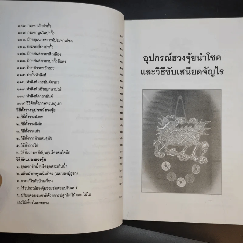 อุปกรณ์ฮวงจุ้ย นำโชคและวิธีขับเสนียดจัญไร รูปที่ 13