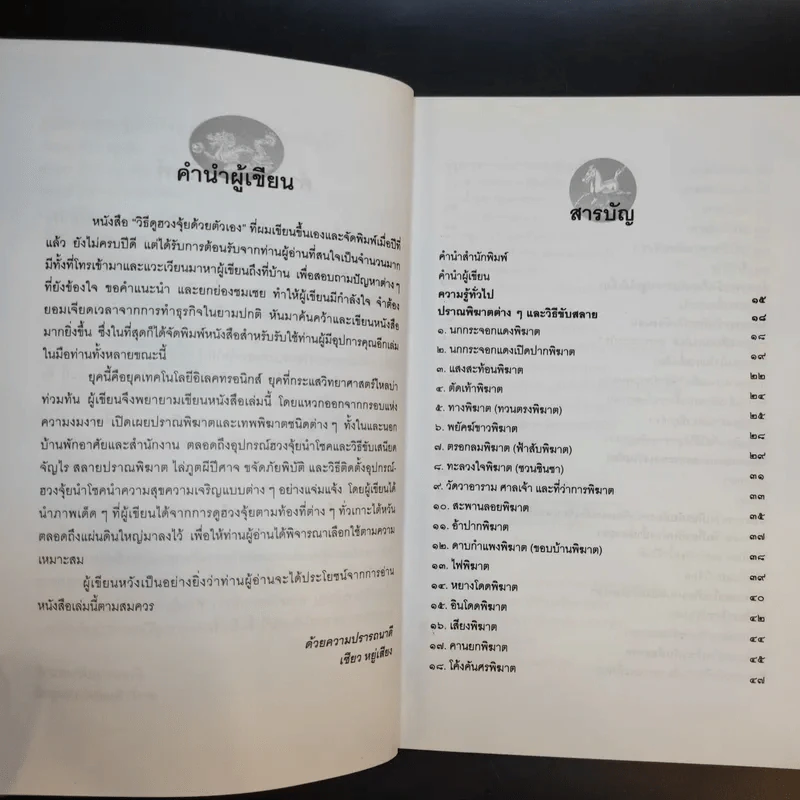 อุปกรณ์ฮวงจุ้ย นำโชคและวิธีขับเสนียดจัญไร รูปที่ 9