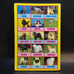 Dog's World 2 รวบรวมแคทตาล็อคสุนัขพันธุ์ต่างๆทั่วโลกพร้อมประวัติชาติกำเนิดฉบับล่าสุด รูปที่ 2
