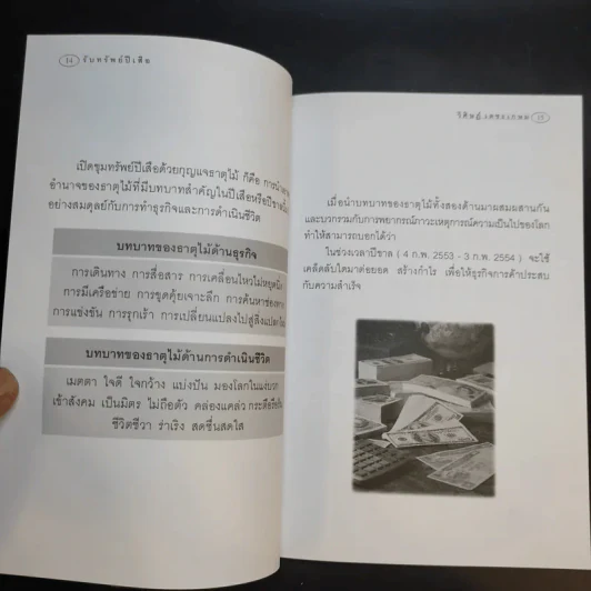 รับทรัพย์ปีเสือ - วิศิษฎ์ เตชะเกษม รูปที่ 12