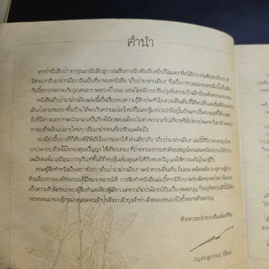 เก็บป่ามาฝากเมือง - ภญ.ดร.สุภาภรณ์ ปิติพร รูปที่ 9