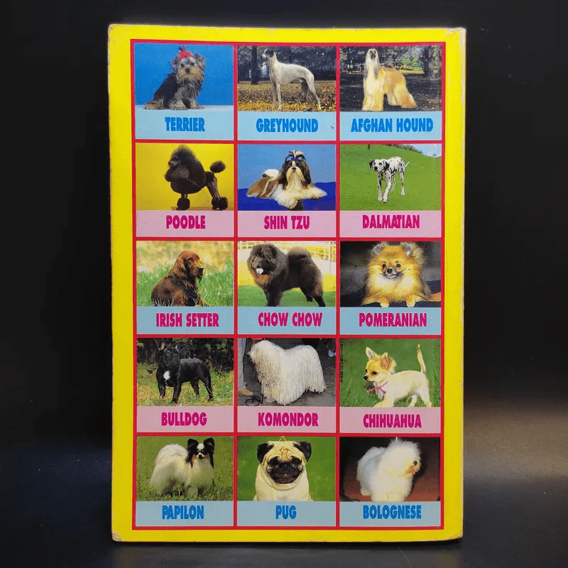 Dog's World 2 รวบรวมแคทตาล็อคสุนัขพันธุ์ต่างๆทั่วโลกพร้อมประวัติชาติกำเนิดฉบับล่าสุด รูปที่ 2