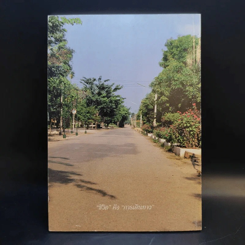 เมืองแก้ว ปีที่ 4 ฉบับที่ 14 ต.ค.-ธ.ค.2549 รูปที่ 2