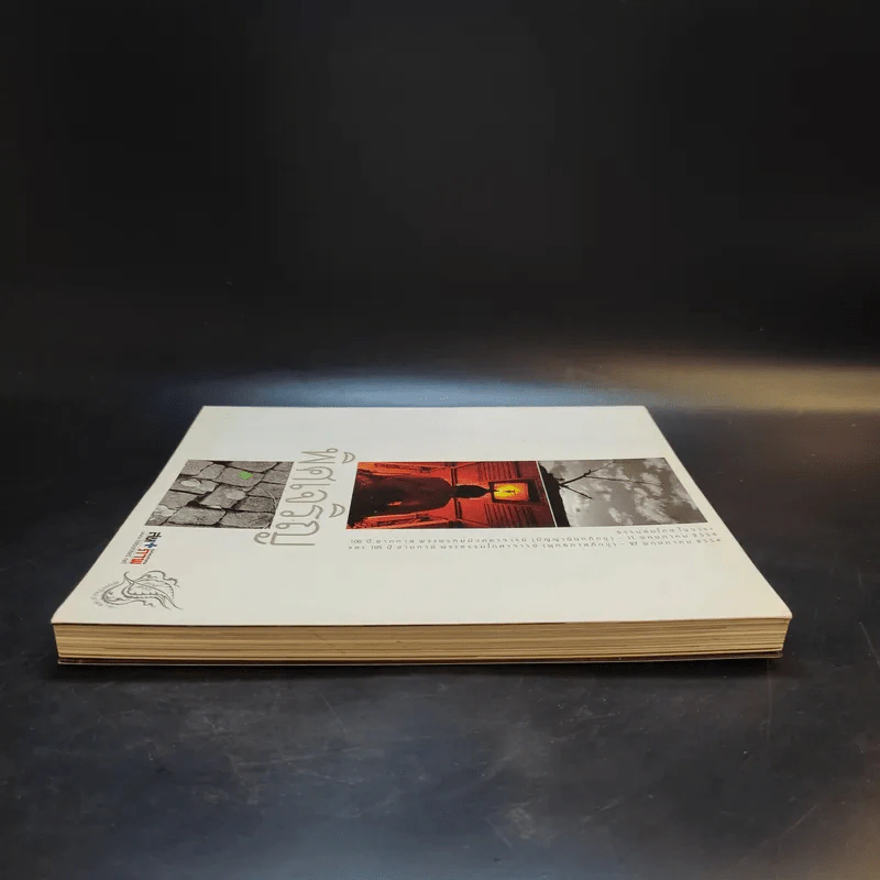 พิศเจริญ หนังสือภาพและอมตธรรมแห่งสองศรีพระศาสนา รูปที่ 5