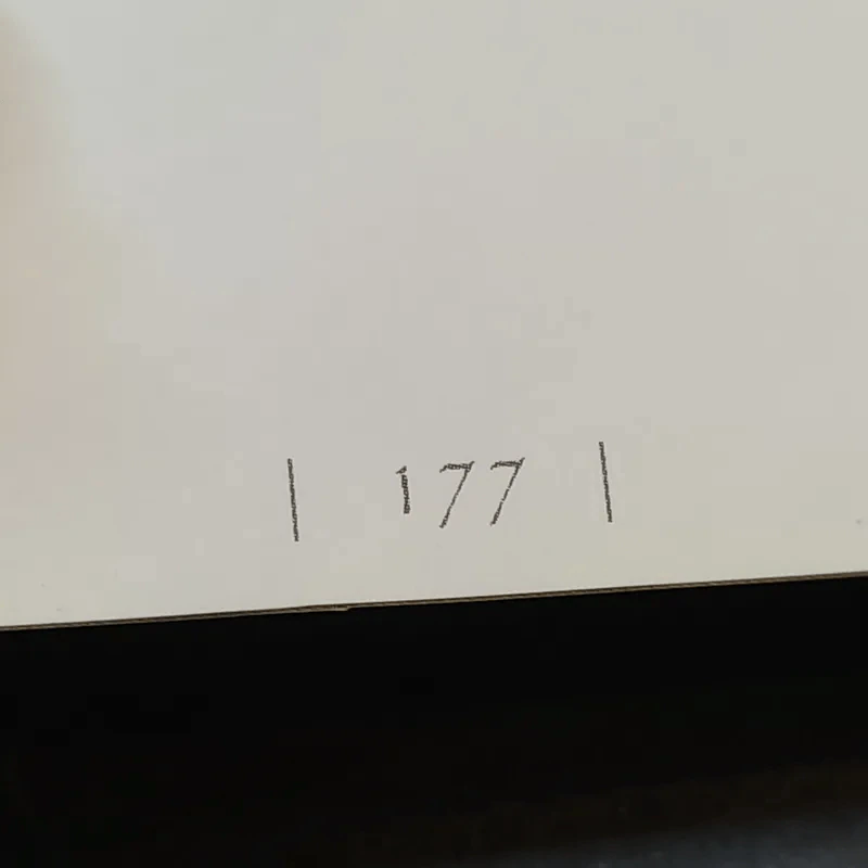 พิศเจริญ หนังสือภาพและอมตธรรมแห่งสองศรีพระศาสนา รูปที่ 16