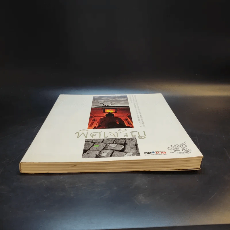 พิศเจริญ หนังสือภาพและอมตธรรมแห่งสองศรีพระศาสนา รูปที่ 4