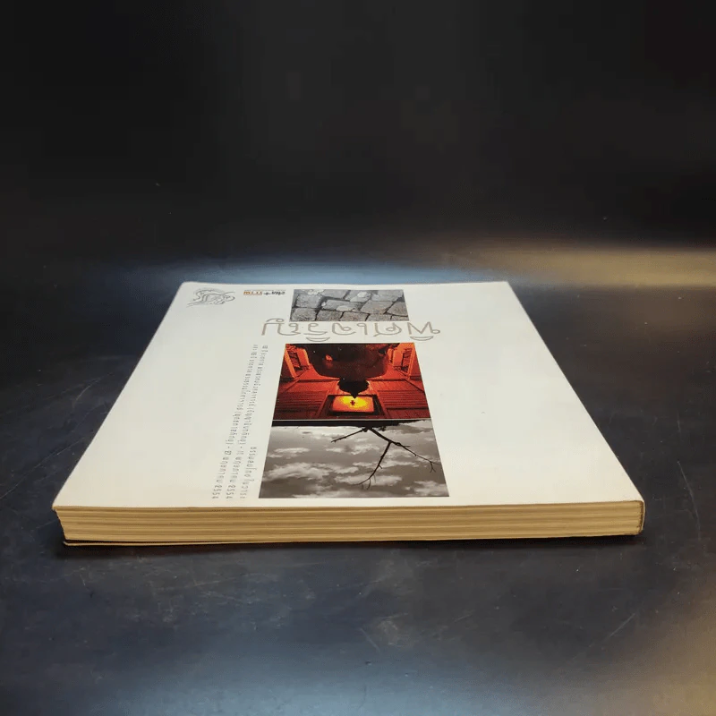 พิศเจริญ หนังสือภาพและอมตธรรมแห่งสองศรีพระศาสนา รูปที่ 6