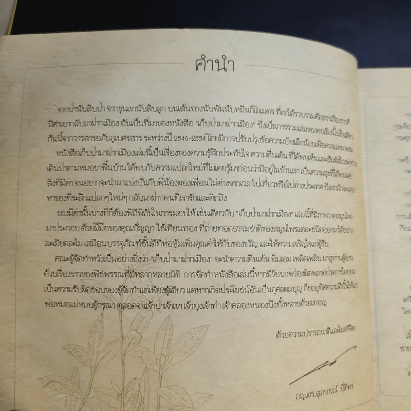 เก็บป่ามาฝากเมือง - ภญ.ดร.สุภาภรณ์ ปิติพร รูปที่ 9