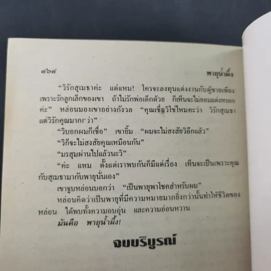 พายุน้ำผึ้ง - จามรี พรรณชมพู รูปที่ 11