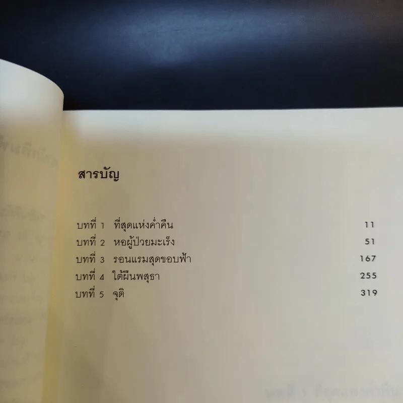 ลูป พิศวงโลกเหนือจริง - ซุสุกิ โคจิ รูปที่ 11