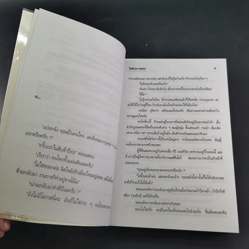 ไฟกลางลม - จามรี พรรณชมพู รูปที่ 9