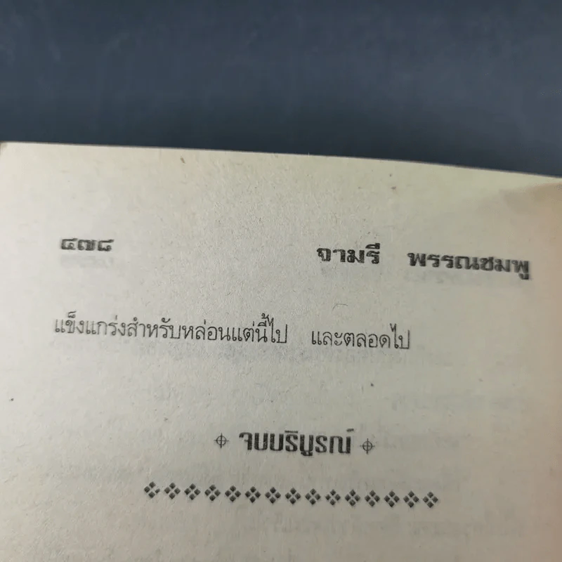 วิมานทราย - จามรี พรรณชมพู รูปที่ 11