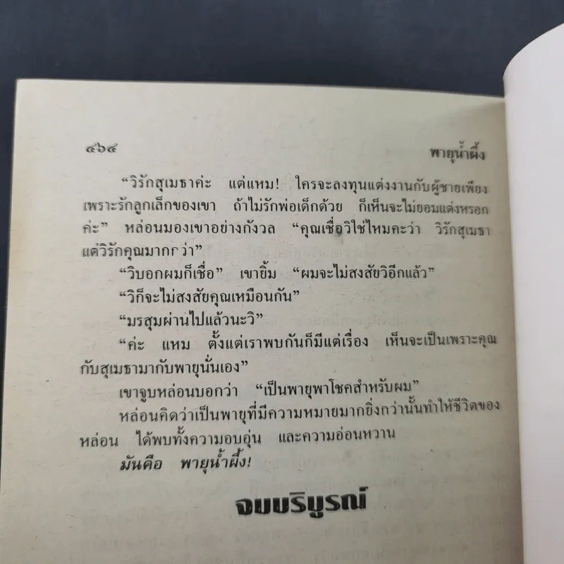 พายุน้ำผึ้ง - จามรี พรรณชมพู รูปที่ 11