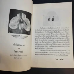 กล้วยไม้รองเท้านารี - ไชยา-ลาวัลย์ รูปที่ 9