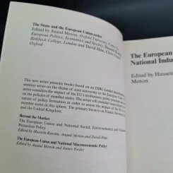 The European Union and National Industrial Policy รูปที่ 8