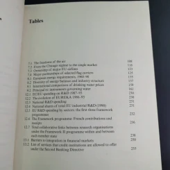 The European Union and National Industrial Policy รูปที่ 11