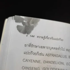 แปะก๊วย - มานพ ประภาษานนท์ รูปที่ 13