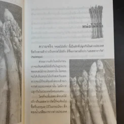 หน่อไม่ฝรั่ง Asparagus - ธนพันธุ์ จอมพิทักษ์ รูปที่ 12