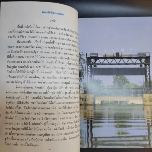 พรรณไม้น้ำบึงบอระเพ็ด รูปที่ 13