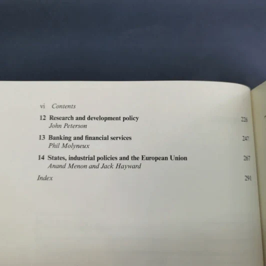 The European Union and National Industrial Policy รูปที่ 10