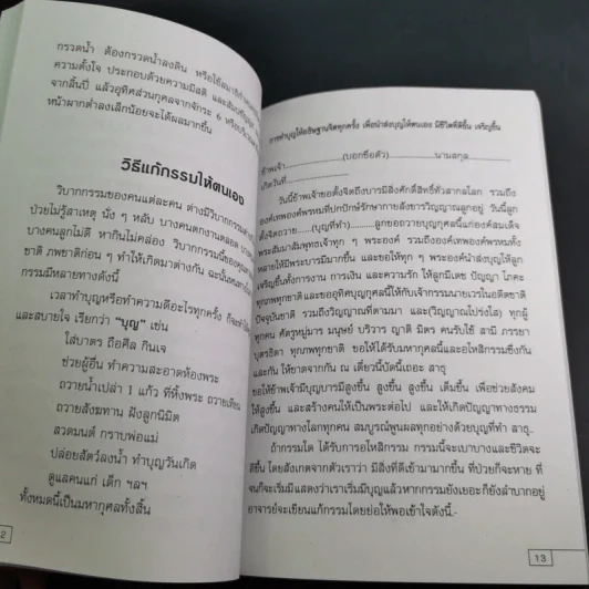 เคล็ดวิธีแก้กรรมปัญหาชีวิต กินอย่างไรไร้โรคภัย รูปที่ 13