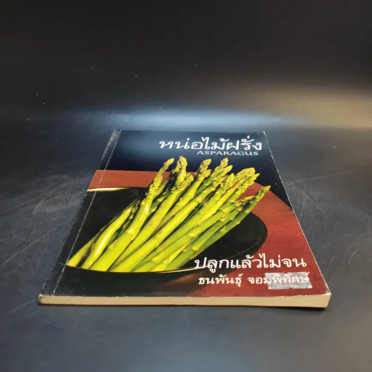หน่อไม่ฝรั่ง Asparagus - ธนพันธุ์ จอมพิทักษ์ รูปที่ 4