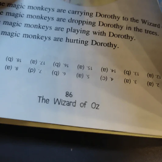 The Wizard of Oz มหัศจรรย์พ่อมดแห่งออซ - L.Frank Baum รูปที่ 13
