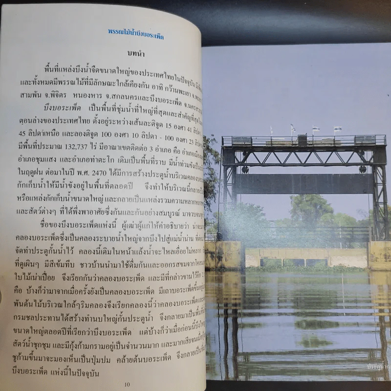 พรรณไม้น้ำบึงบอระเพ็ด รูปที่ 13