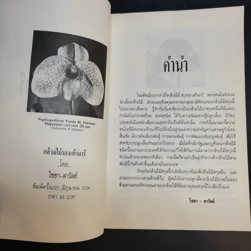 กล้วยไม้รองเท้านารี - ไชยา-ลาวัลย์ รูปที่ 9