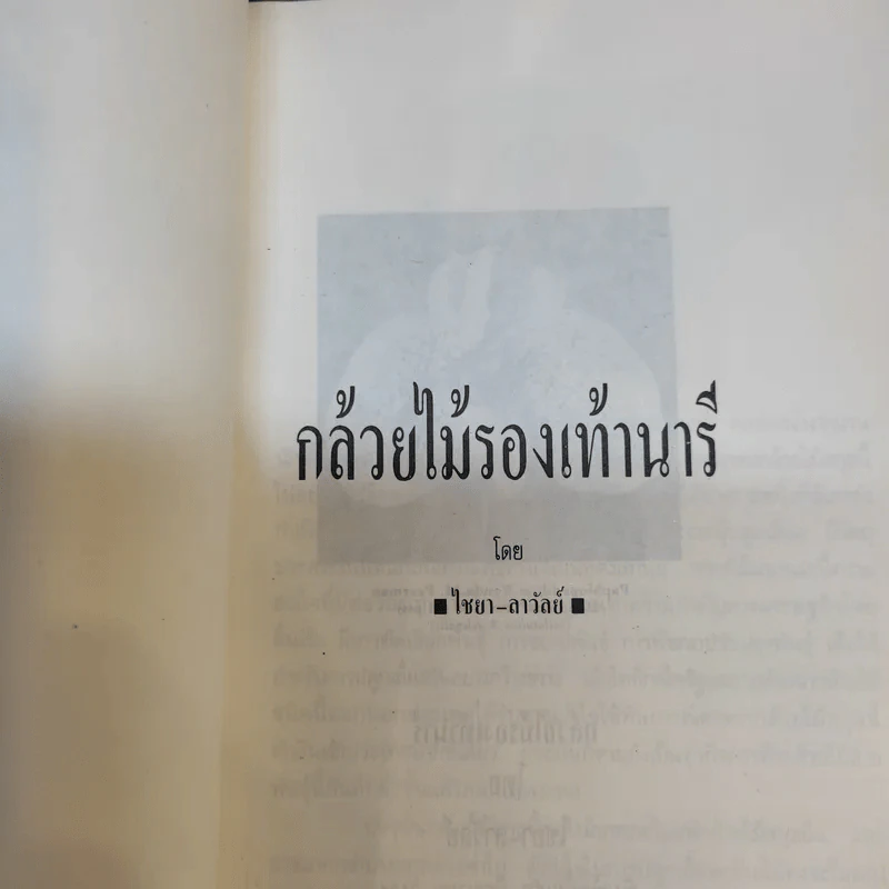 กล้วยไม้รองเท้านารี - ไชยา-ลาวัลย์ รูปที่ 8