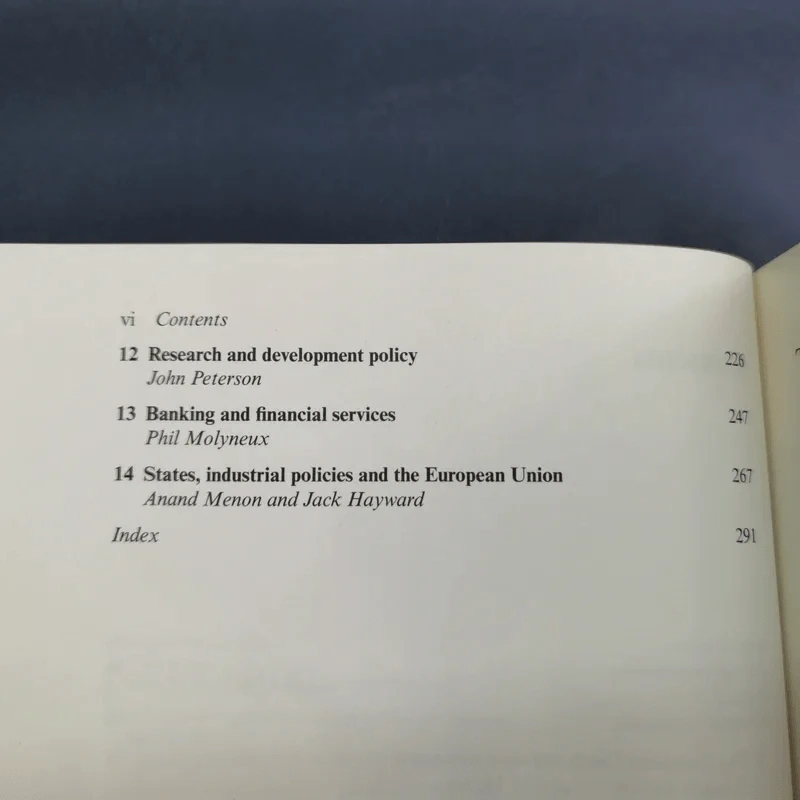 The European Union and National Industrial Policy รูปที่ 10