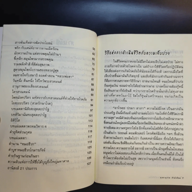 ธรรมะบำรุงใจ สมุนไพรบำบัดโรค - จิตศรัทธา พุทธานุภาพ รูปที่ 10