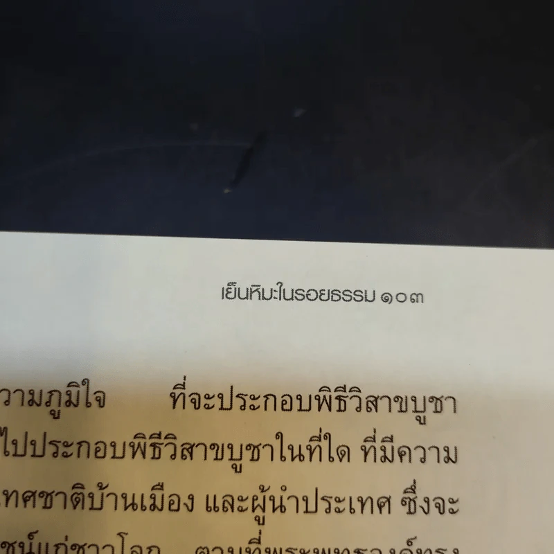 เย็นหิมะในรอยธรรม - สมเด็จพระพุฒาจารย์ (เกี่ยว อุปเสโณ) รูปที่ 13