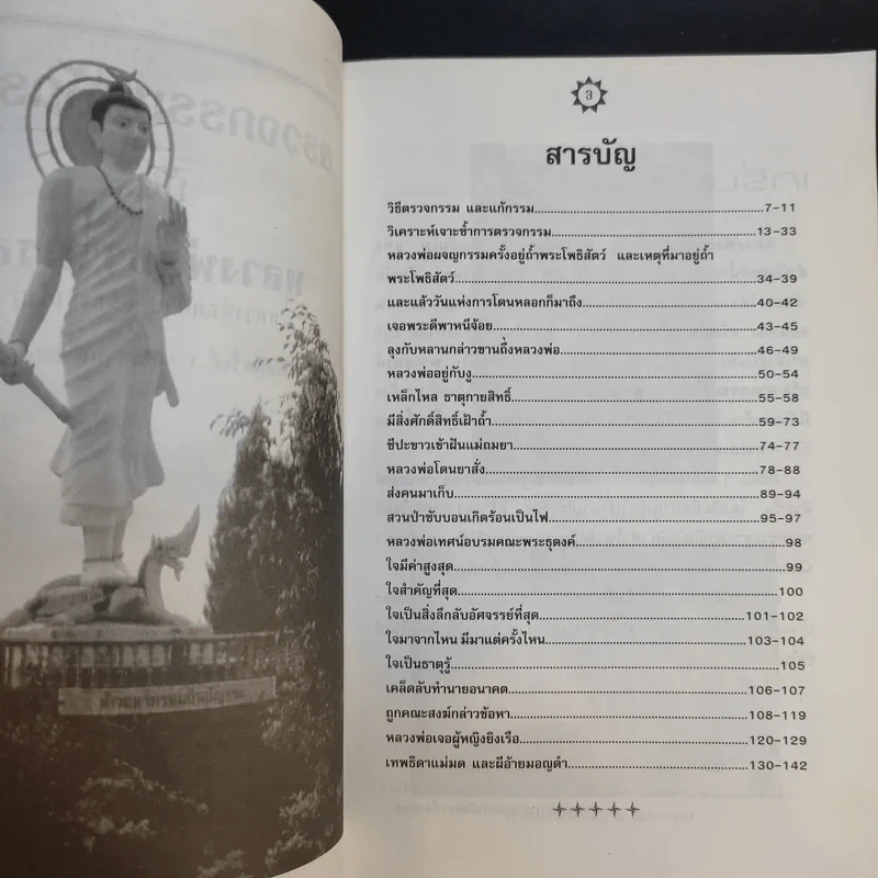 ตรวจกรรมแก้กรรมกับหลวงพ่อธรรมรส รูปที่ 9