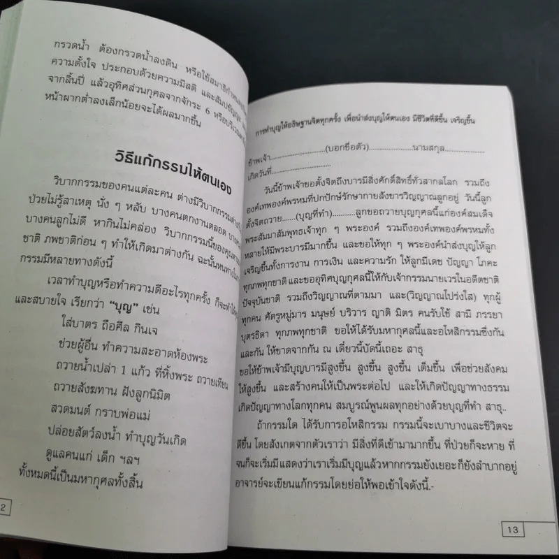 เคล็ดวิธีแก้กรรมปัญหาชีวิต กินอย่างไรไร้โรคภัย รูปที่ 13