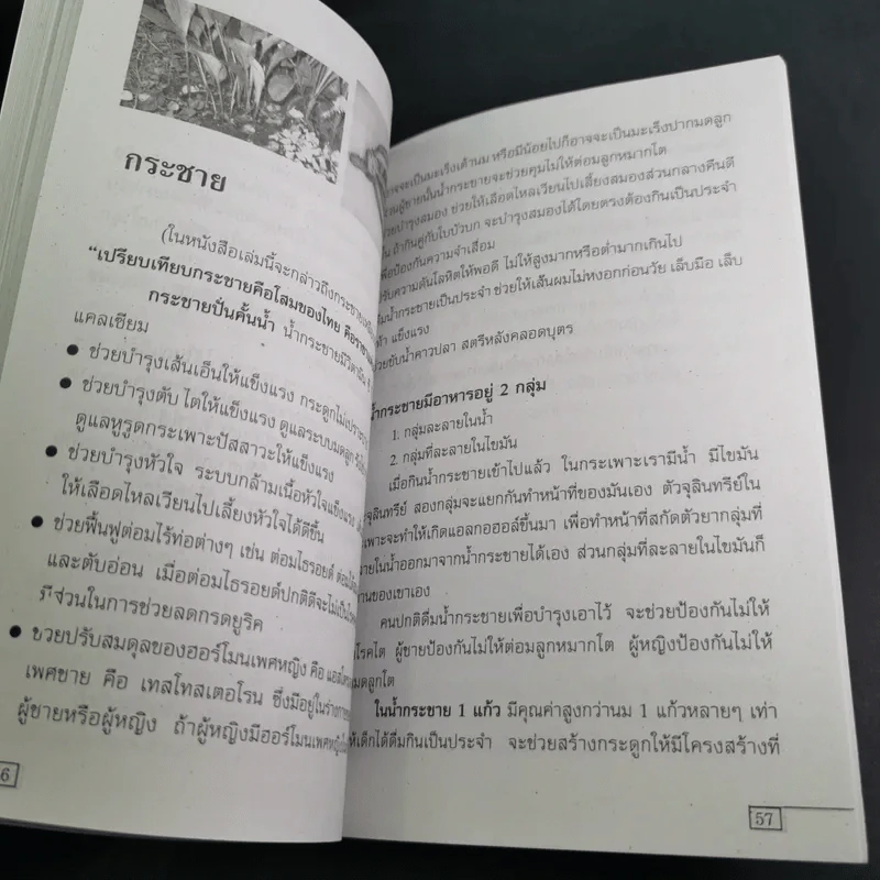 เคล็ดวิธีแก้กรรมปัญหาชีวิต กินอย่างไรไร้โรคภัย รูปที่ 14